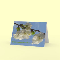 Happy Mother's day white herry blossom cards