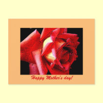 Happy Mother's Day with red rose postcards