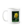 Happy Mother's Day! -...