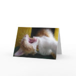 Happy (Nappy) Birthday - Yawning Kitty Card