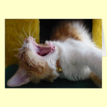 Happy (Nappy) Birthday - Yawning Kitty cards