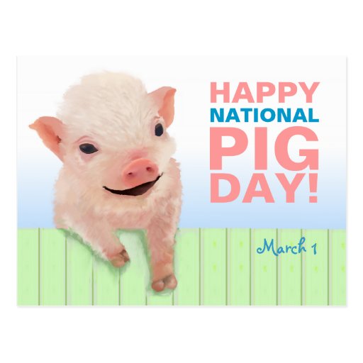 Happy National Pig Day! Postcard Zazzle