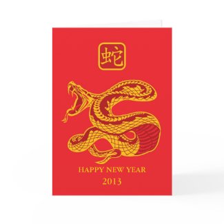 Happy ne year 2013 greeting card