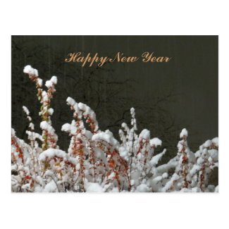 Happy New Year