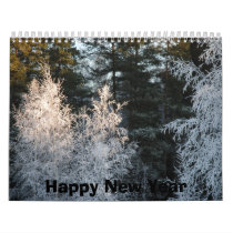 Happy New Year calendars