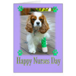 Happy Nurses Day With Spaniels Bandaged Foot Card