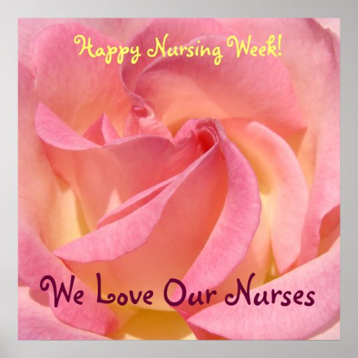 Happy Nursing Week! posters Pink Rose flower Love Zazzle