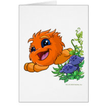 Happy orange JubJub in Neopia Central cards
