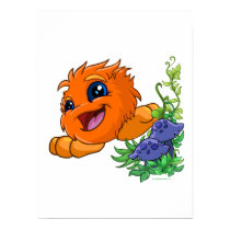 Happy orange JubJub in Neopia Central posters