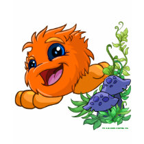 Happy orange JubJub in Neopia Central t-shirts by neopets Happy orange JubJub in Neopia Central t-shirts