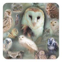 Happy Owls Square Stickers