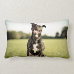 Happy Pit Bull Lumbar Pillow