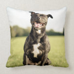 Happy Pit Bull Square Throw Pillow