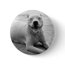 Happy pitbull round button