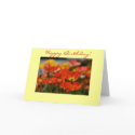 Happy Poppy Birthday Card by pulsDesign Happy Poppy Birthday Card
