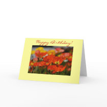 Happy Poppy Birthday Card