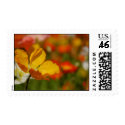 Happy Poppy Postage Stamp stamp