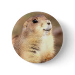 Happy Prairie dog button