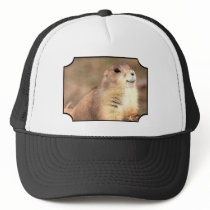 Happy Prairie dog hat