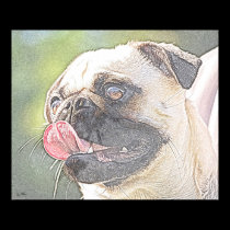 Happy Pug posters