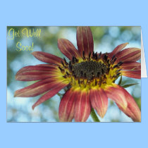 Happy Red Sunflower Get Well Card cards