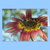 Happy Red Sunflower Thank You Card cards