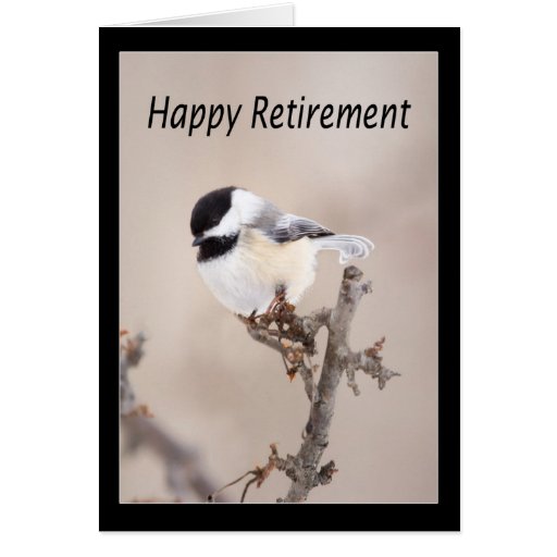 Happy Retirement Black Cap Chickadee Card Zazzle