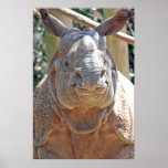 Happy Rhino Posters