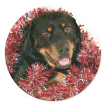 Happy Rottie Christmas sticker by deemac1 Happy Rottie Christmas sticker
