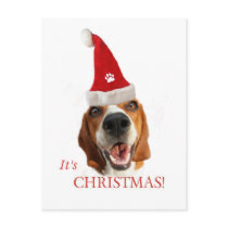 Happy Santa Dog postcards