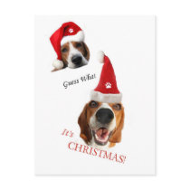 Happy Santa Puppy postcards