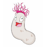 Happy Sea Cucumber Tshirt