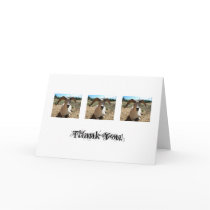 Happy Sheep; Thank You Greeting Card