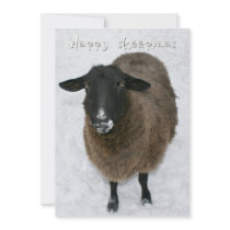 Happy sheepmas invites