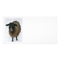 Happy sheepmas customized photo card