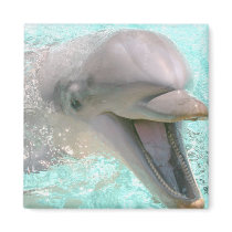 Happy Smiling Dolphin Refrigerator Magnets