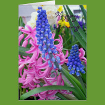 Happy Spring cards