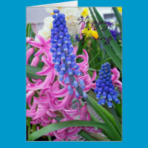 Happy Spring cards