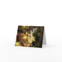 Happy Spring! cards