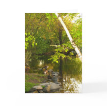 HAPPY SPRING! cards