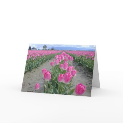 Happy Spring Pink Tulips Greeting Card by gardenparty