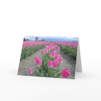 Happy Spring Pink Tulips cards by gardenparty Happy Spring Pink Tulips cards