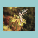 Happy Spring postcards
