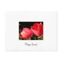 Happy Spring! postcards by babiebluz Happy Spring! postcards
