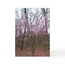 Happy Spring/Redbud - Greeting Card by Bekahski Happy Spring/Redbud - Greeting Card