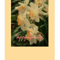 Happy Spring! t-shirts by lessstresspress Happy Spring! t-shirts
