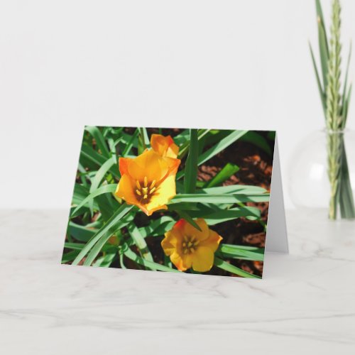 Happy Spring Tulip Card zazzle_card