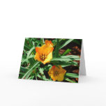 Happy Spring Tulip Card cards