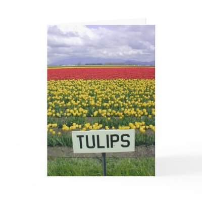 Happy Spring Tulips Cards by gardenparty