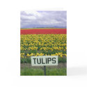 Happy Spring Tulips cards by gardenparty Happy Spring Tulips cards